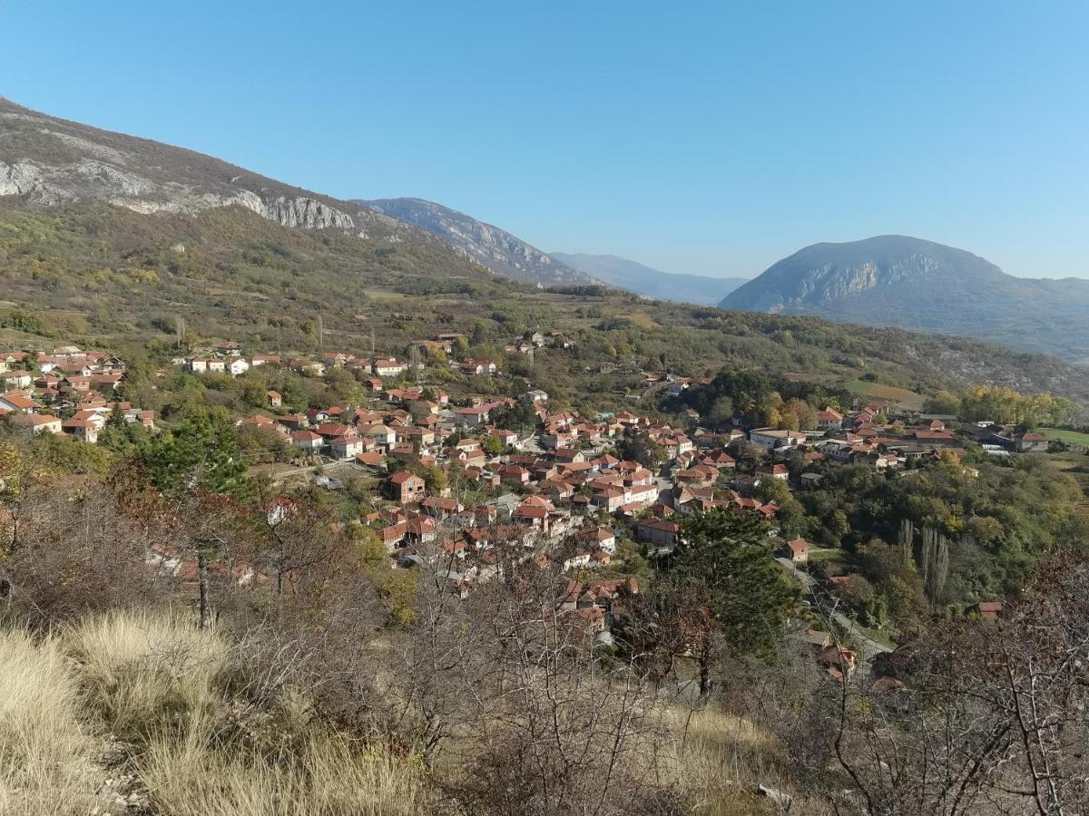 Konak -Guest House -Ramonda Serbika Nis Exterior photo