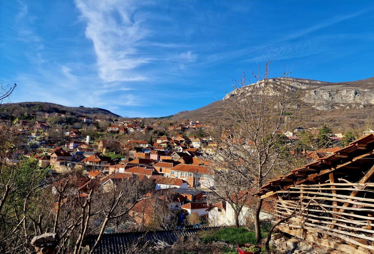 Konak -Guest House -Ramonda Serbika Nis Exterior photo