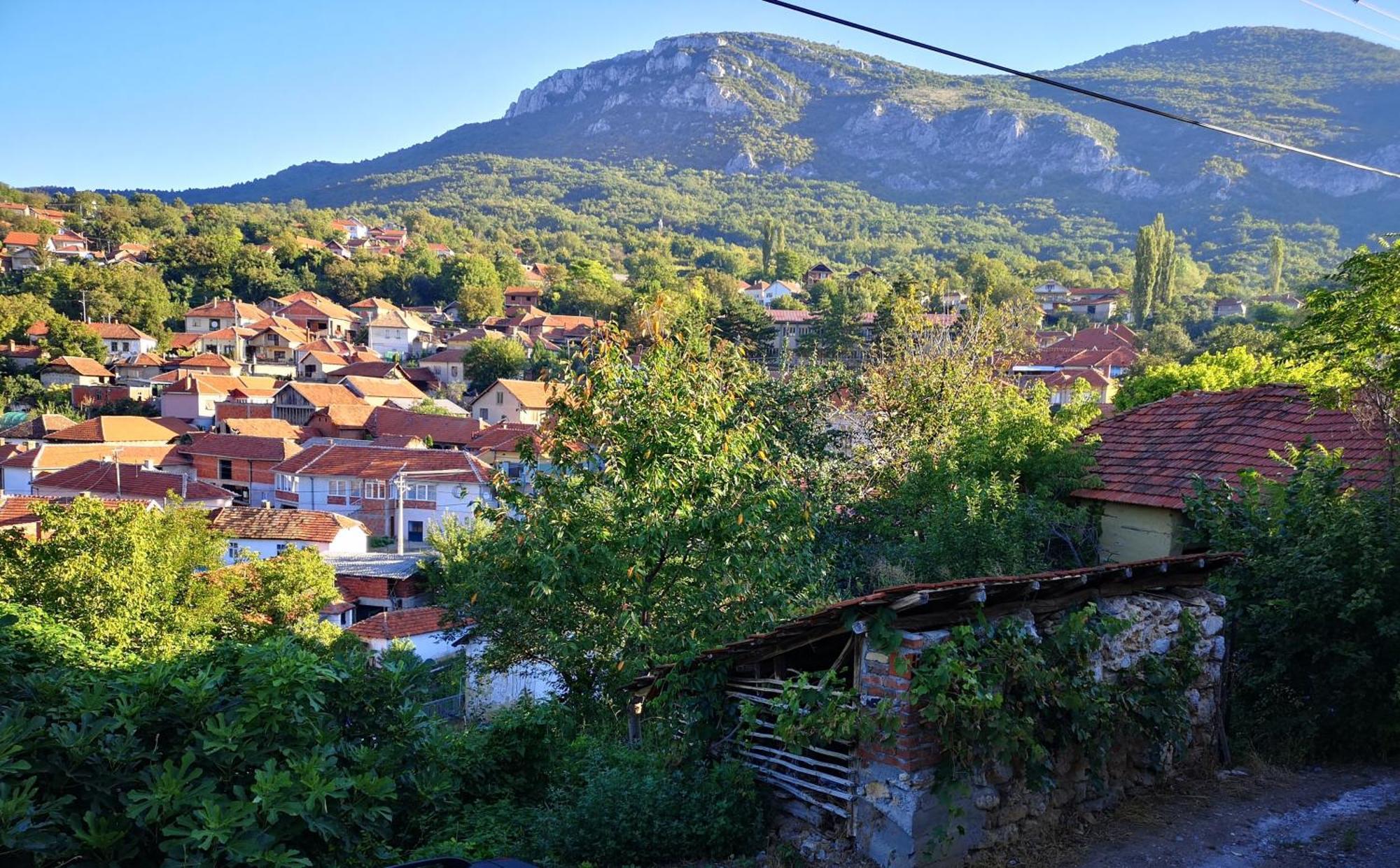 Konak -Guest House -Ramonda Serbika Nis Exterior photo